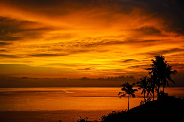 Silhouettes of palm trees, bright yellow clouds, romantic beach on a tropical island during sunset.