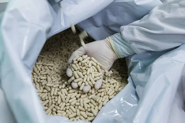 Pharmacist in the chemical production laboratory holds in two palms in sterile gloves manufactured tablets.