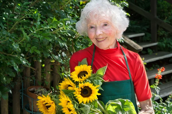 Senior tuinman met zonnebloemen — Stockfoto