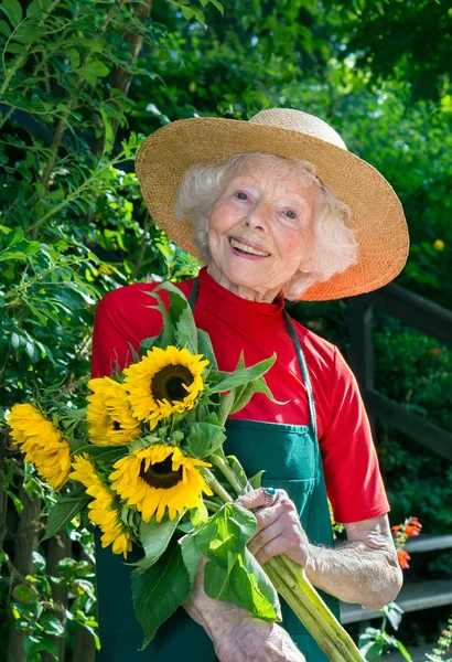 Jardinero senior con girasoles — Foto de Stock