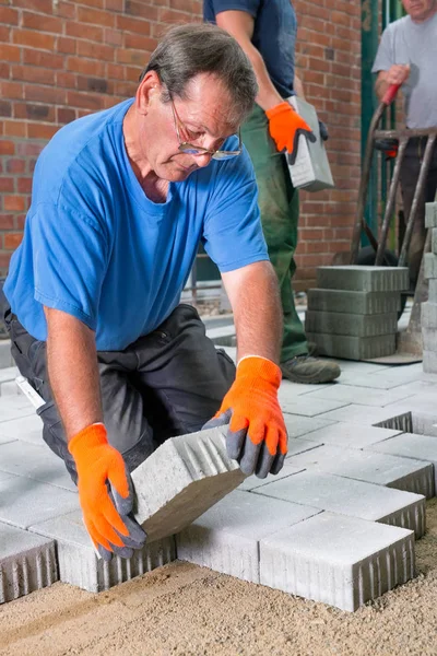 Builders laying paving stones — Stock Image Builders laying paving stones Royalty Free Stock Photos