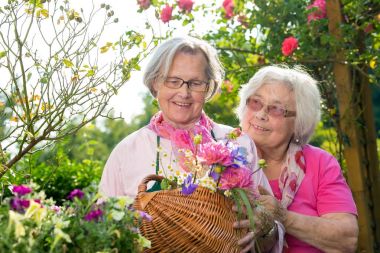 Two senior smiling women standing with basket in garden on sunny day clipart