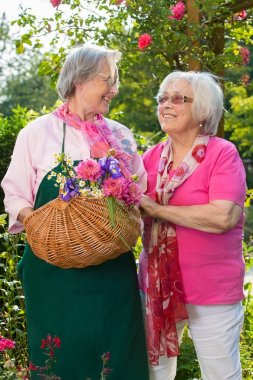 Sepeti taze çiçekler ile iki neşeli üst düzey kadın bahçede güneşli gün, bir tanesi ayakta tutan