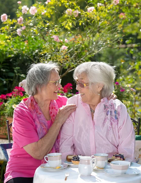 Duas Mulheres Alegres Seniores Relaxando Sobre Chá Jardim Dia Ensolarado — Fotografia de Stock