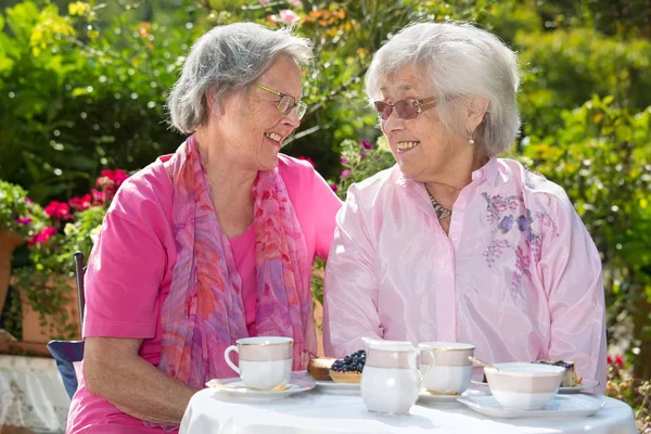 Две Пожилые Весёлые Женщины Расслабляются Чаем Саду Солнечный День — стоковое фото