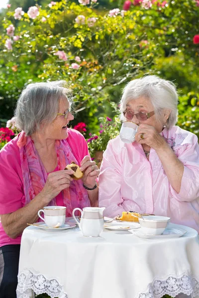 阳光明媚的一天 两位兴高采烈的妇女在花园里悠闲地喝茶 — 图库照片