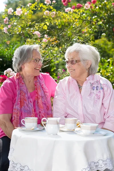 Çay bahçesinde oturan iki neşeli üst düzey kadın