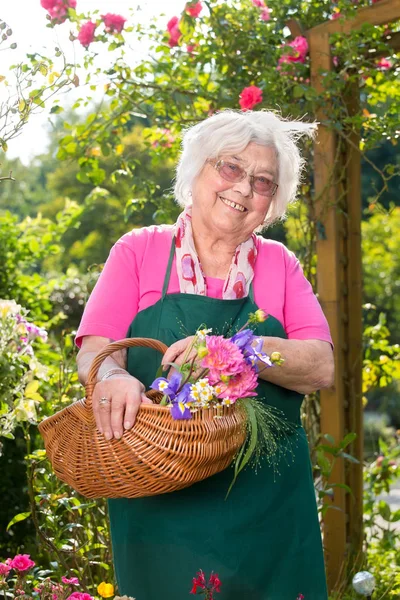 Smiling Senior Woman Holding Basket Flowers Garden Sunny Day — Stock Photo, Image