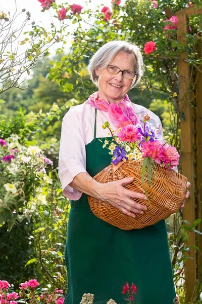 Sorrindo Mulher Sênior Segurando Cesta Com Flores Jardim Dia Ensolarado — Fotografia de Stock