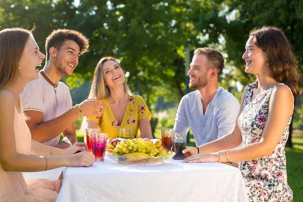 Grupo Amigos Haciendo Picnic Campo Sentados Juntos Mesa Cubiertos Manteles — Foto de Stock