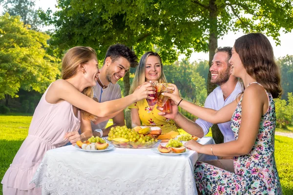 夏の晴れた日に公園でピクニックパーティーを楽しんでいる5人の友人の幸せな若いグループ 健康的な果物や飲み物ジュースを食べて 乾杯し ガラスをクリックして笑い 話しています — ストック写真