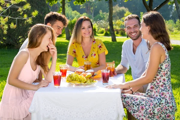 Grupo Amigos Disfrutando Picnic Aire Libre Parque Hablando Riendo Divirtiéndose Imágenes De Stock Sin Royalties Gratis