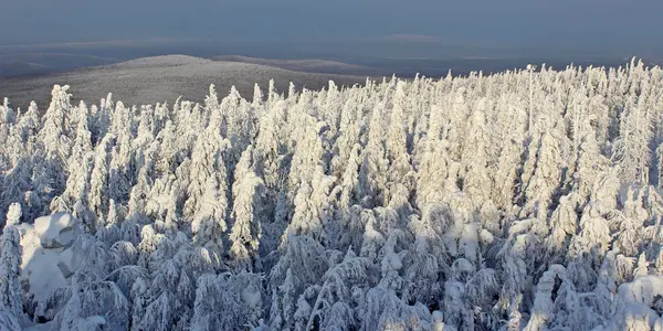 güneş ışığında kar Vadisi