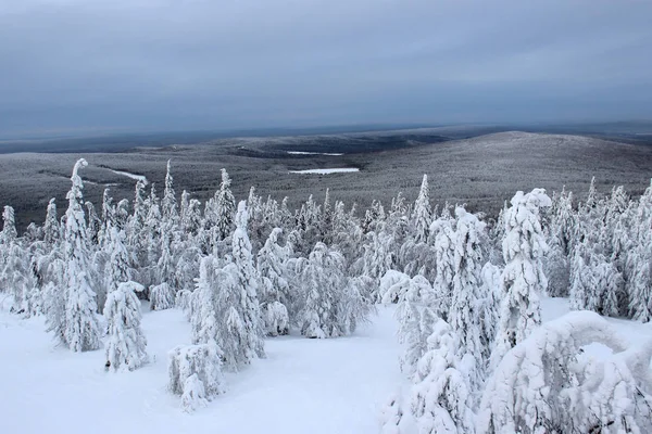 gökyüzünde kar ormanlık