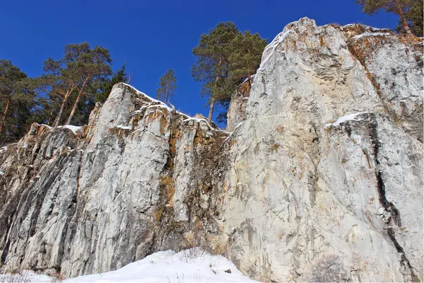 Kayalıklardaki ağaçlar