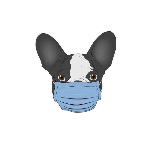 Illustrazione Bulldog Francese Maschera Medica Foto Stock