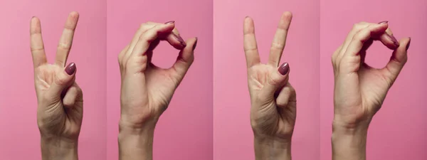horizontal row collection of female hands gesturing the digits of the new year 2020 in sign language on a colored pink background, concept new year,creative idea