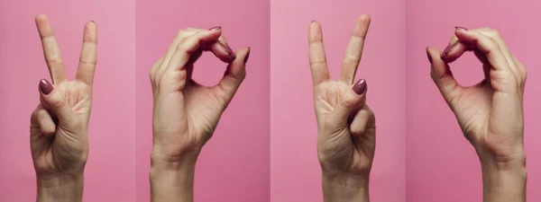 horizontal row collection of female hands gesturing the digits of the new year 2020 in sign language on a colored pink background, concept new year,creative idea