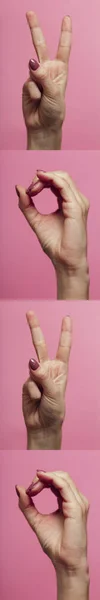 Coleção linha vertical de mãos femininas gesticulando os dígitos do ano novo 2020 em linguagem de sinais em um fundo rosa colorido, conceito ano novo, ideia criativa — Fotografia de Stock