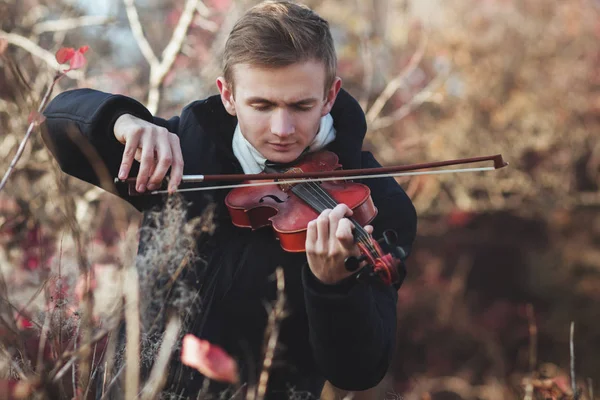 Portrait of a young elegant violinist playing the violin in autumn field in grass, young man engaged in musical art, concept of classical music, hobby and relax — Stock Photo, Image