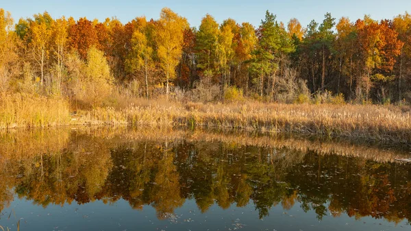 Autumn landscape. The nature of Ukraine