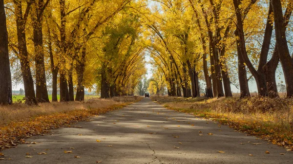 Autumn landscape. The nature of Ukraine