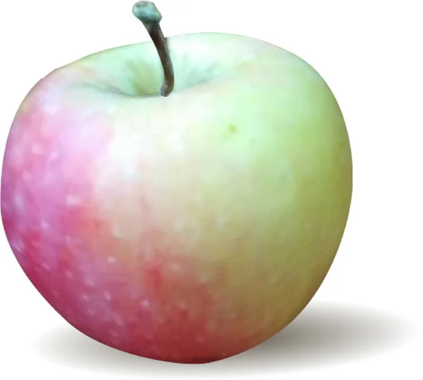 Apfel Vektor Bild Realistisch Maschenverlauf Bild Frucht Ernte Herbst Dekorativ — Stockvektor