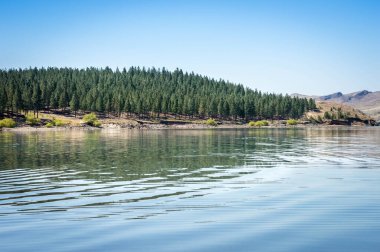 Yazın yeşil çam ağaçları ve dağlarla kaplı göl manzarası. Neuqun, Arjantin.