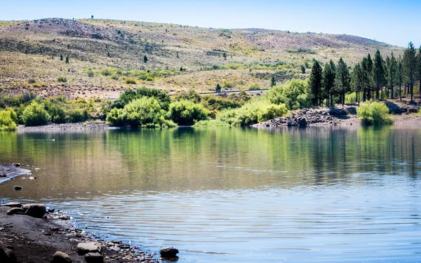 Sjölandskap Med Gröna Tallar Och Fjäll Sommaren Neuqun Argentina — Stockfoto