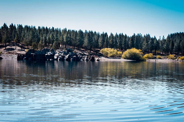 Озерный Пейзаж Зелеными Соснами Горами Летом Неукун Аргентина — стоковое фото