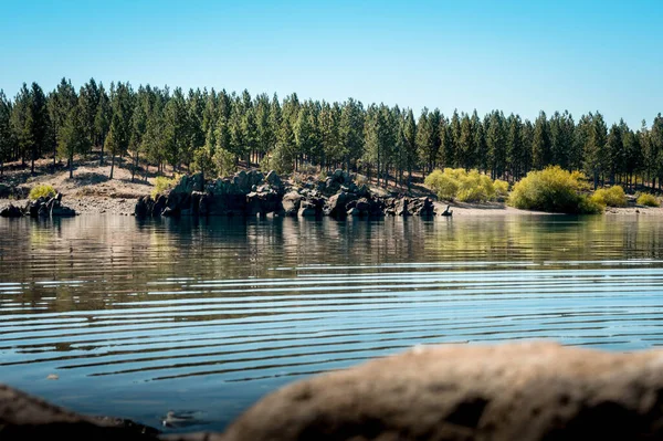 Sjölandskap Med Gröna Tallar Och Fjäll Sommaren Neuqun Argentina — Stockfoto