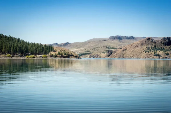 Jezerní Krajina Zelenými Borovicemi Horami Létě Neuqun Argentina — Stock fotografie