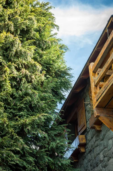 Stone and wood cabin in front of a leafy and green pine in Bariloche, Argentina.