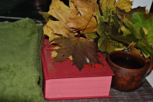 Ein Rotes Buch Für Einen Wunderschönen Abend Einem Warmen Fenster — Stockfoto