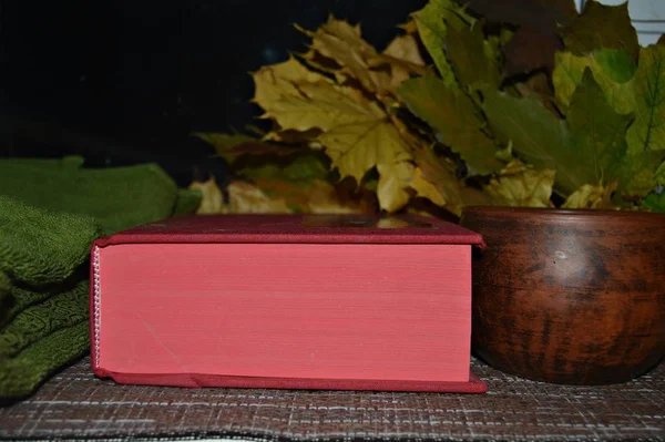 a red book for a wonderful evening spent on a warm window in cool autumn, a clay mug with hot coffee gives a romantic mood, bright yellow maple leaves harmoniously complement everything