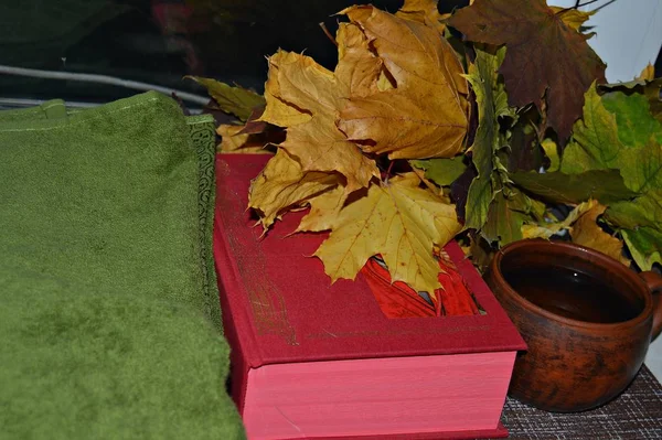 Ein Rotes Buch Für Einen Wunderschönen Abend Einem Warmen Fenster — Stockfoto