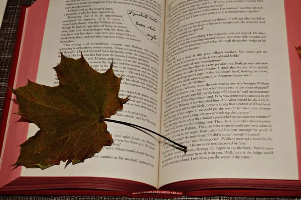a red book for a wonderful evening spent on a warm window in cool autumn, a clay mug with hot coffee gives a romantic mood, bright yellow maple leaves harmoniously complement everything