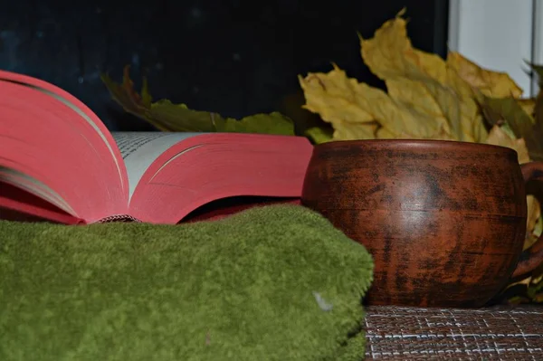 Harika Bir Akşam Için Kırmızı Bir Kitap Serin Bir Sonbaharda — Stok fotoğraf