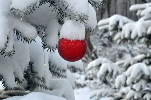 Brinquedo Natal Vermelho Uma Árvore Natal Coberta Neve Uma Floresta — Fotografia de Stock