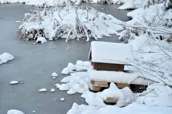 small pet house in the snow near a frozen pond