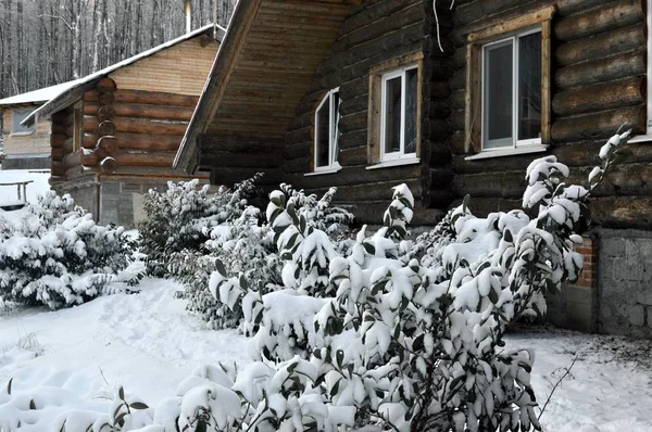 Wooden House Rest Snowy Winter Window Which Evergreen Bush Grows — ストック写真