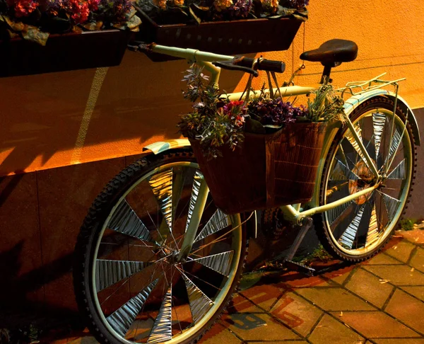 Een Fiets Met Bloemen Een Mand Een Turquoise Fietspedaal Staat — Stockfoto