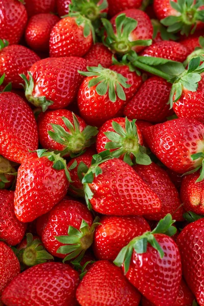 Çiftçi ahşap kutusunda toplanan yoğun kırmızı çilekler.