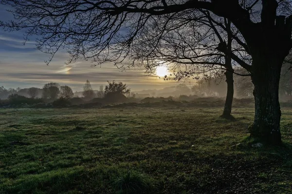 Landschaft Mit Nebel Frühen Morgen Wenn Die Ersten Sonnenstrahlen Auftauchen lizenzfreie Stockbilder