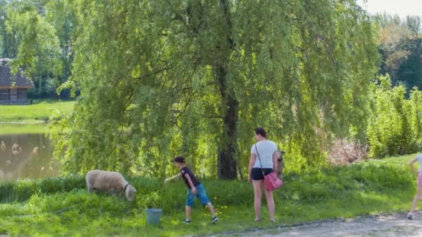 Lublin friluftsmuseum — Stockvideo