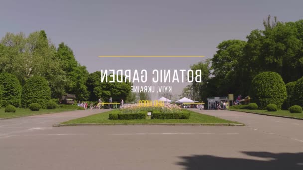 Talált szökőkút egy parkban — Stock videók