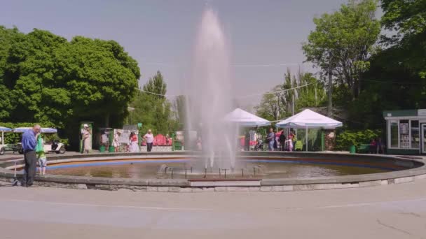 Gevonden fontein in een park — Stockvideo
