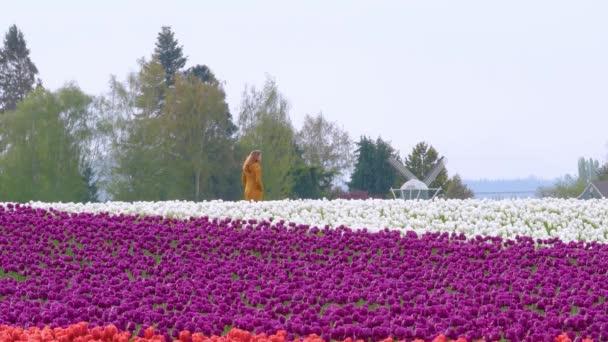 Landscape with young woman on colorful flower field — Stock Video