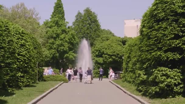 Hittade fontän i en park — Stockvideo