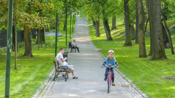 En park i Lublin med en allé — Stockvideo